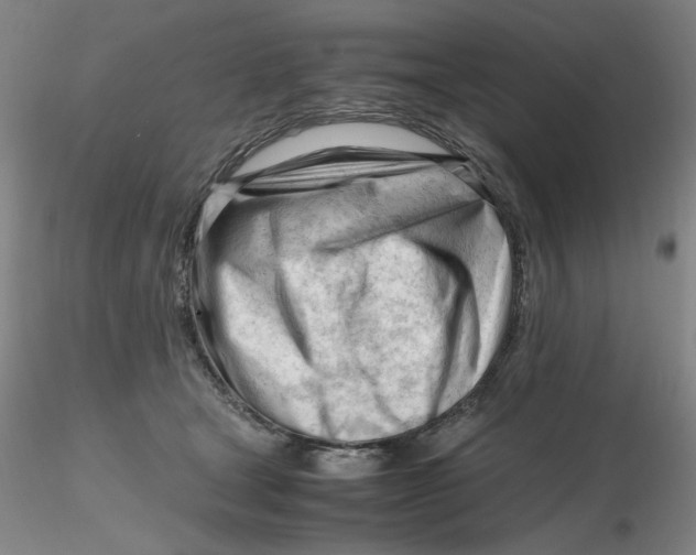 X0000116270465200912211802