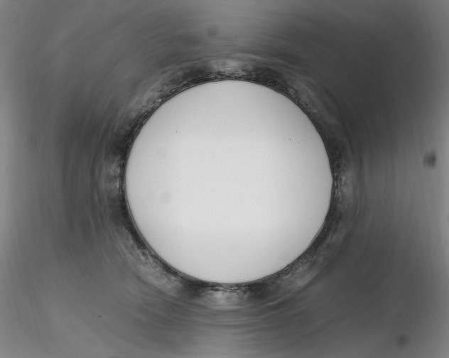 X0000116270466200912211802