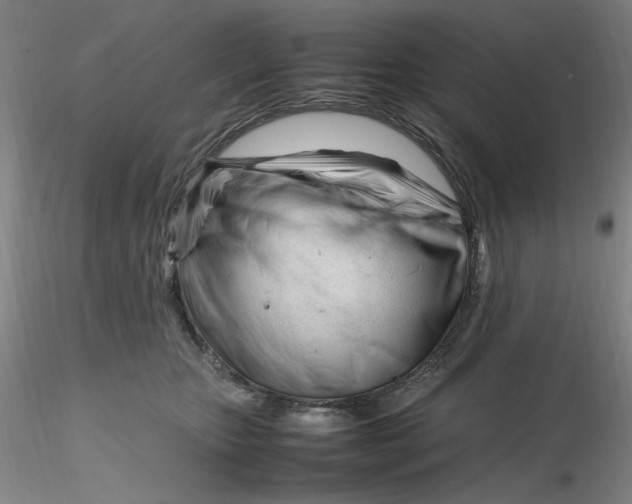 X0000116270467200912211802