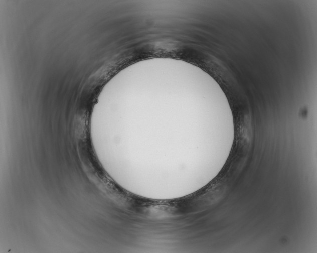 X0000116270468200912211802