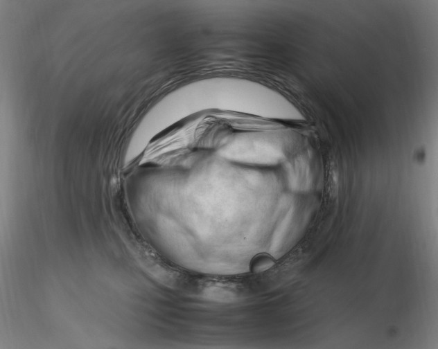 X0000116270471200912211802