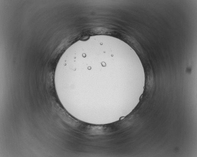 X0000116270473200912211802