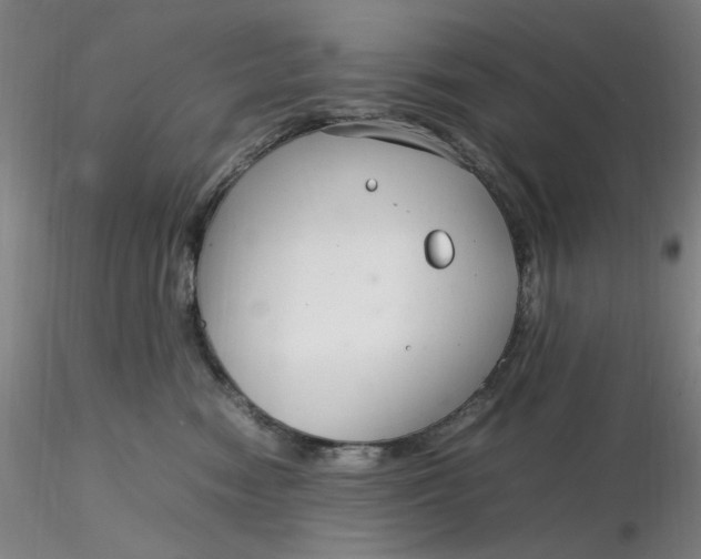 X0000116270474200912211802