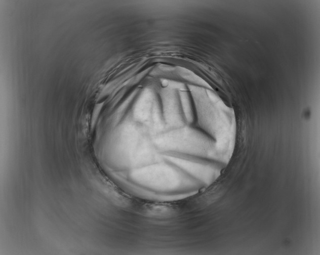 X0000116270475200912211802