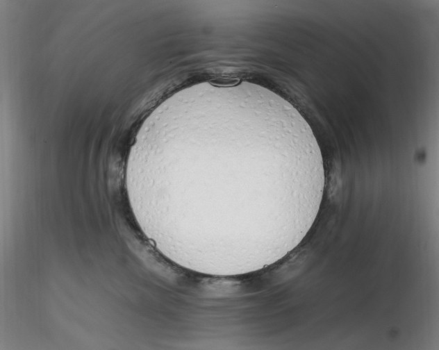 X0000116270476200912211802