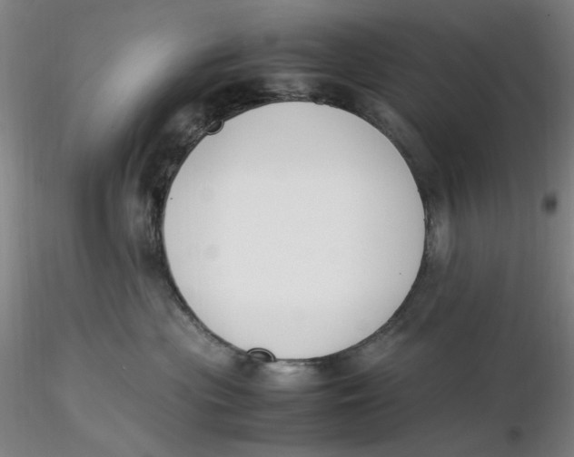 X0000116270477200912211802