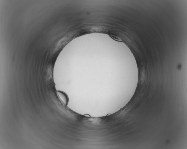 X0000116270478200912211802
