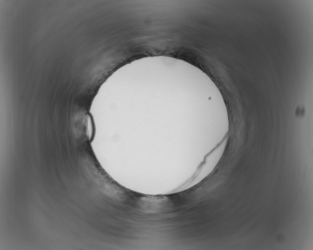 X0000116270480200912211802