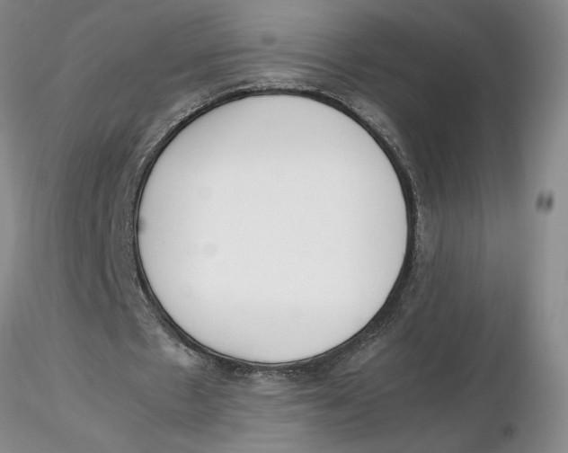 X0000116270481200912211801