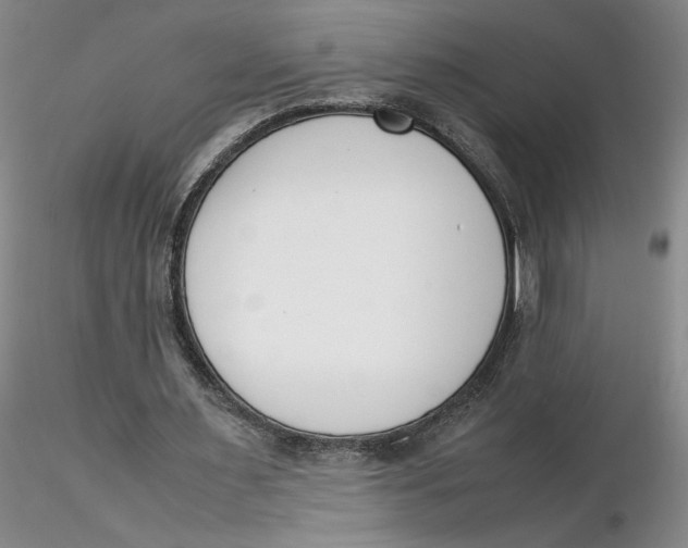 X0000116270483200912211801