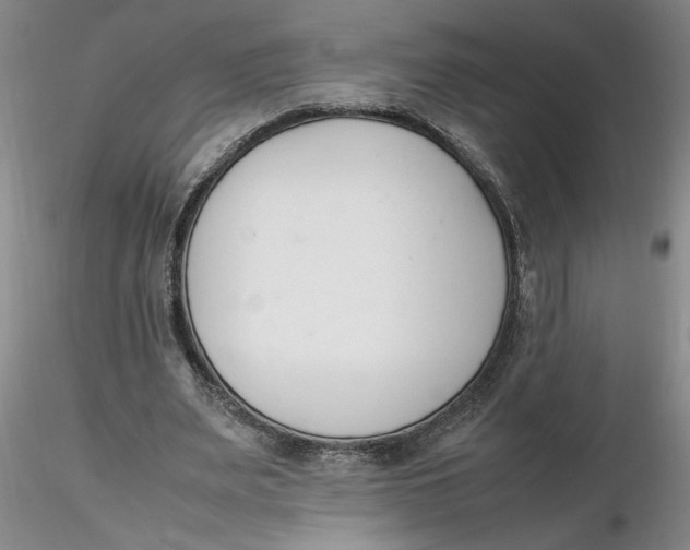 X0000116270487200912211801
