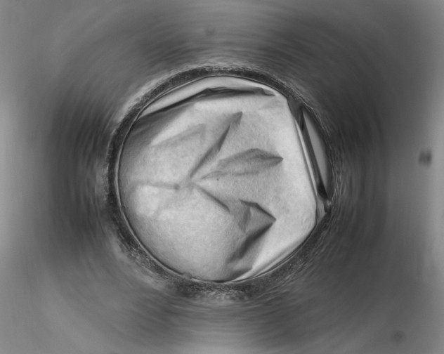 X0000116270488200912211801