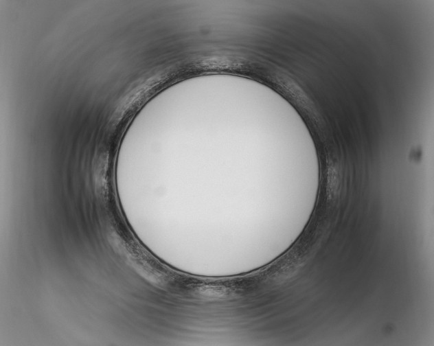 X0000116270490200912211801