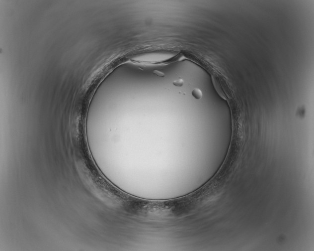 X0000116270491200912211801