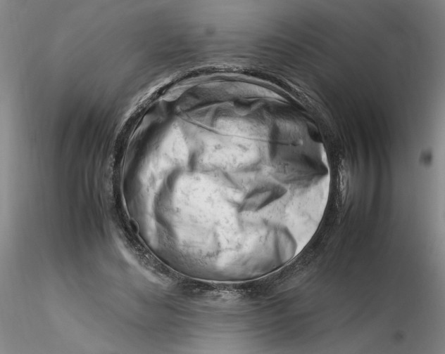 X0000116270492200912211801