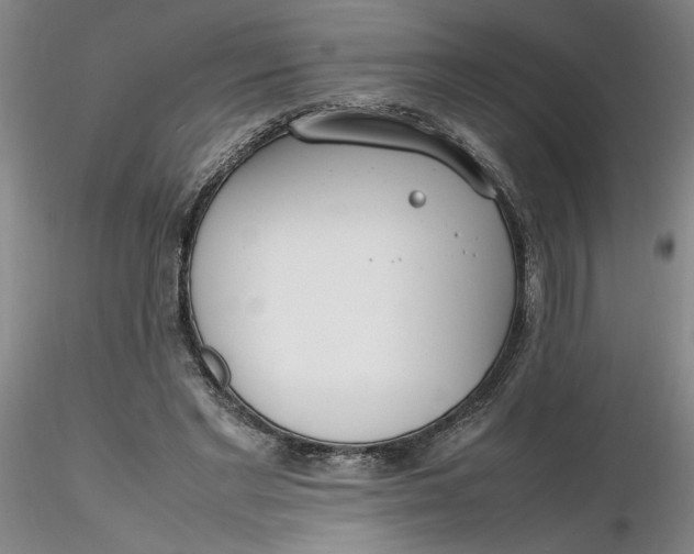 X0000116270493200912211801
