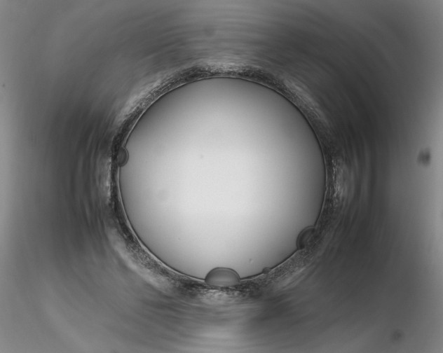 X0000116270494200912211801