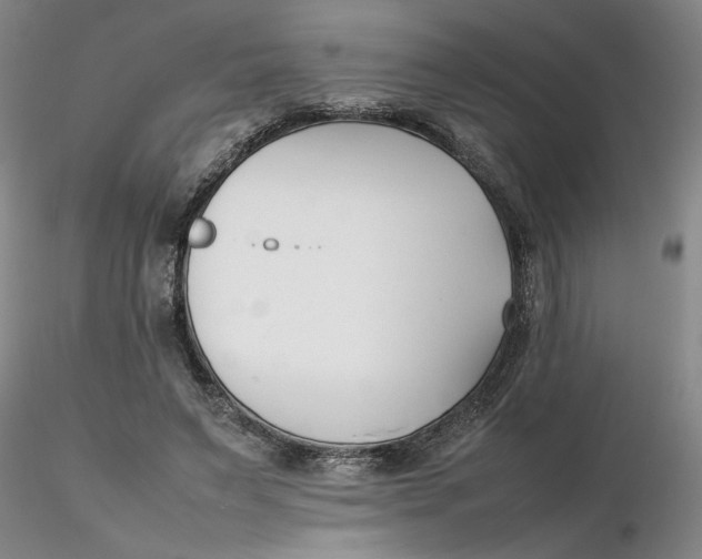 X0000116270495200912211801