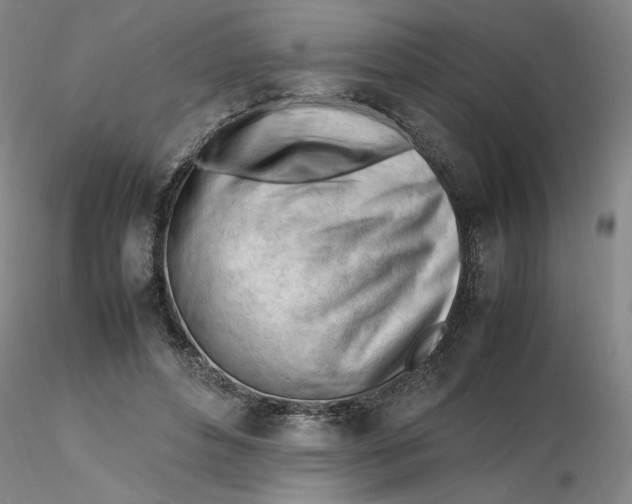X0000116270496200912211801