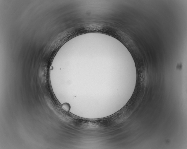 X0000116270498200912211801
