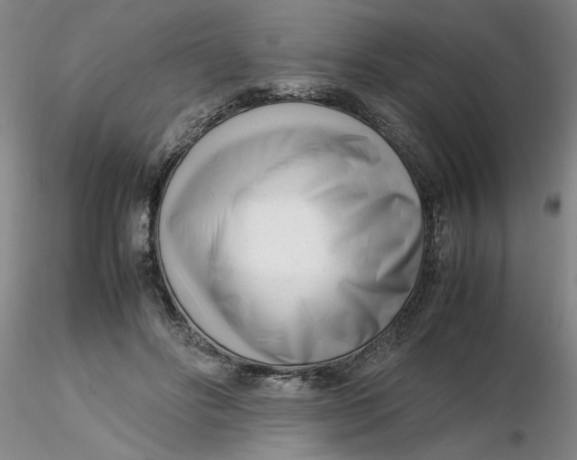 X0000116270502200912211801