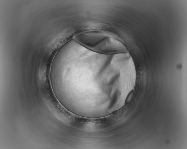 X0000116270504200912211801