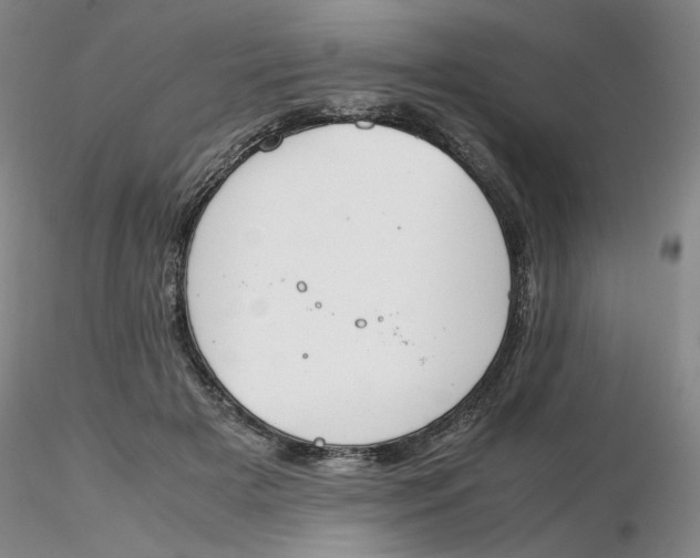 X0000116270505200912211801
