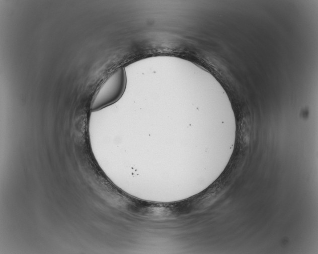 X0000116270509200912211801
