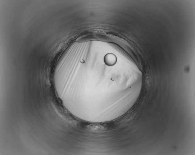 X0000116270512200912211801