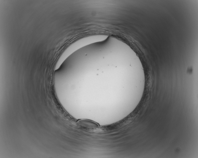 X0000116270513200912211801