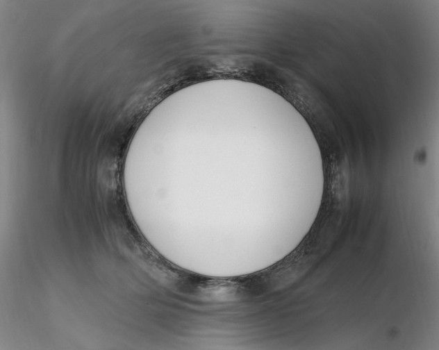 X0000116270514200912211801