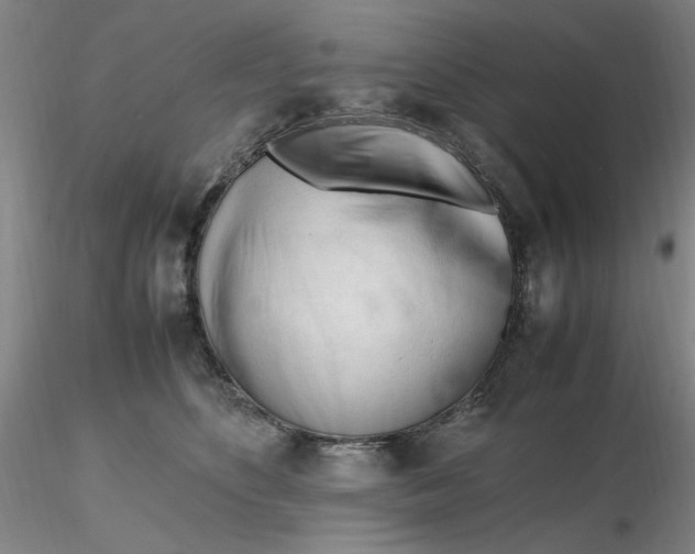 X0000116270516200912211801