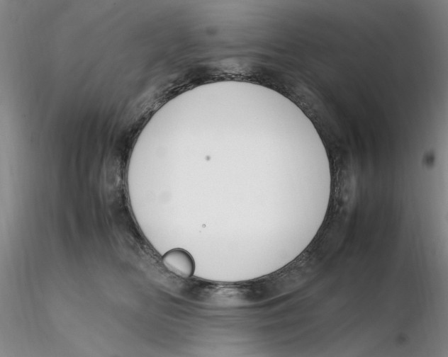 X0000116270518200912211801
