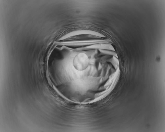 X0000116270520200912211801