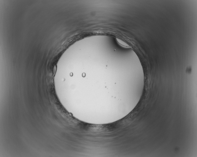X0000116270521200912211801