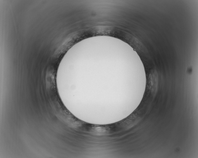 X0000116270522200912211801