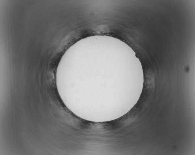 X0000116270523200912211801