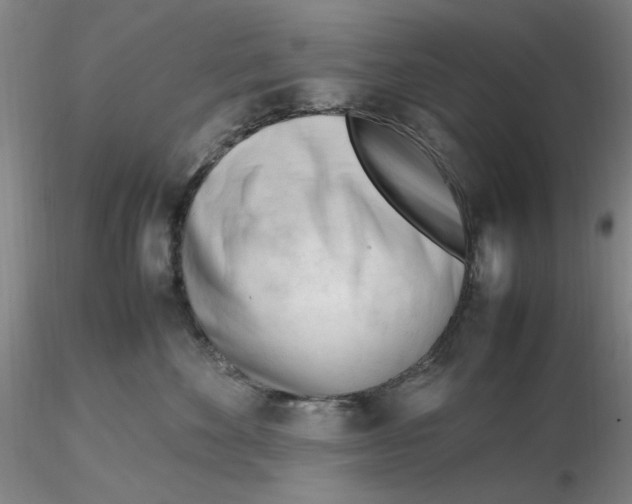 X0000116270524200912211801