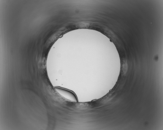 X0000116270525200912211801