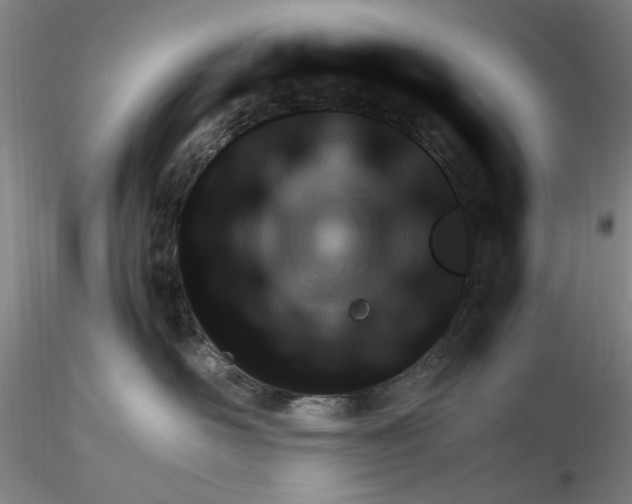 X0000116270526200912211801