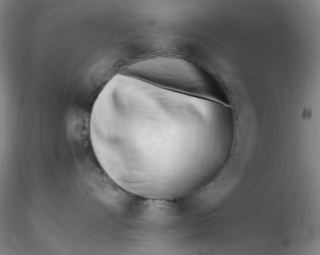 X0000116270528200912211801