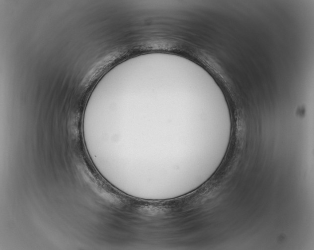 X0000116270537200912211800