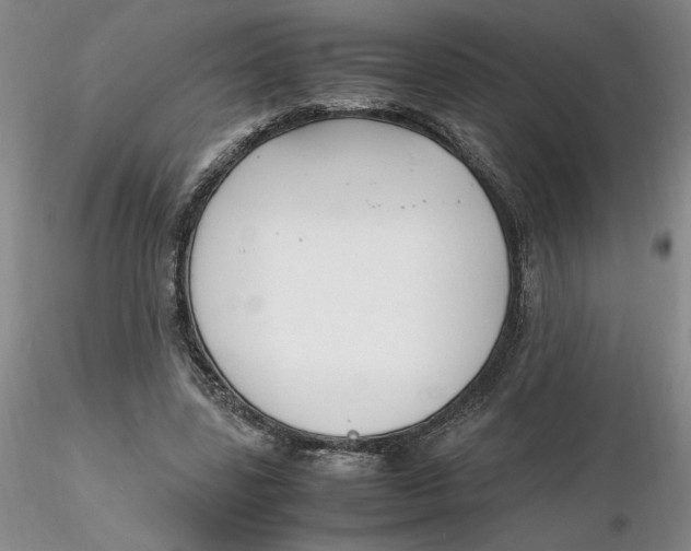 X0000116270539200912211800