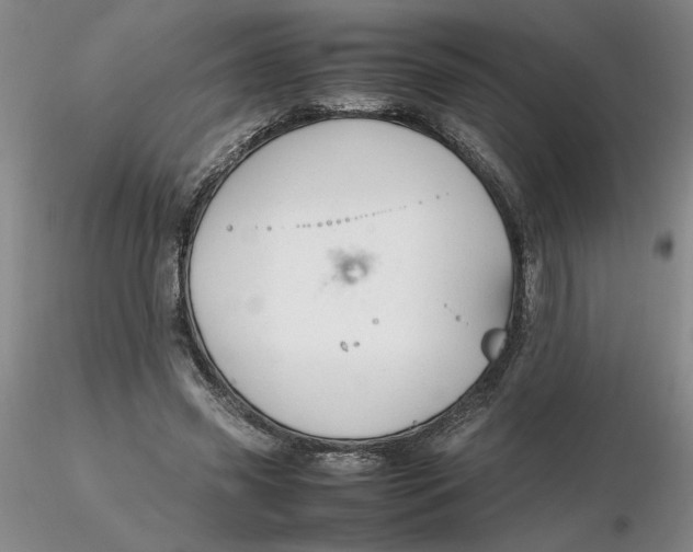 X0000116270541200912211800