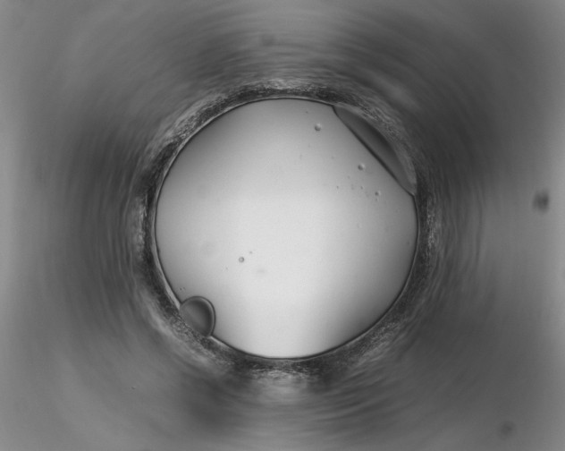 X0000116270542200912211800