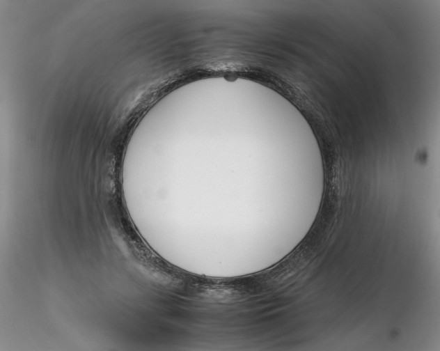 X0000116270547200912211800