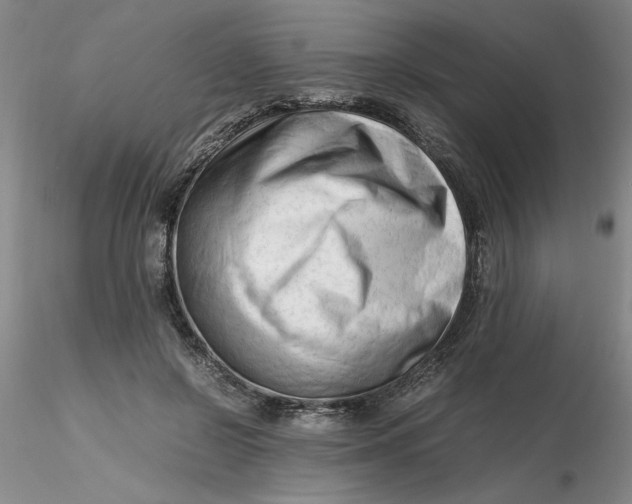 X0000116270550200912211800
