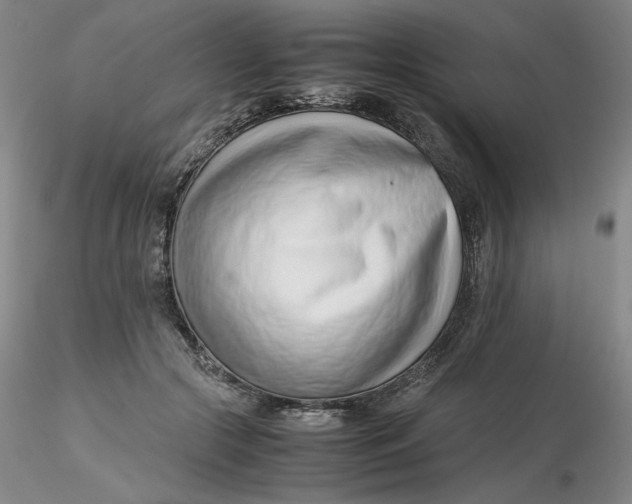 X0000116270553200912211800