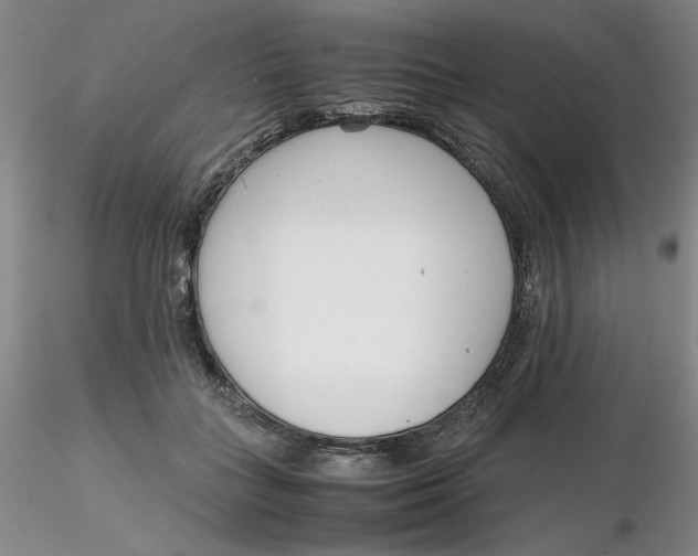 X0000116270555200912211800