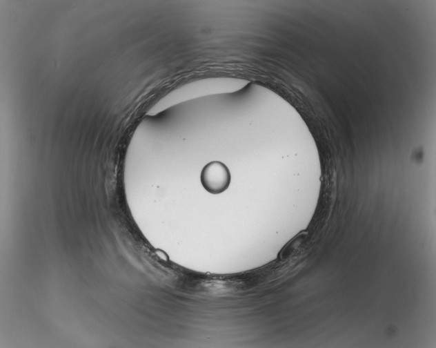 X0000116270558200912211800